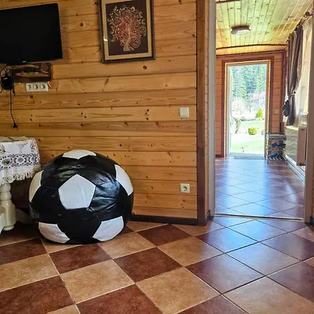 Lastivchyne Gnizdo Guest house *