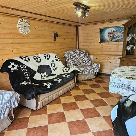ластівчине гніздо