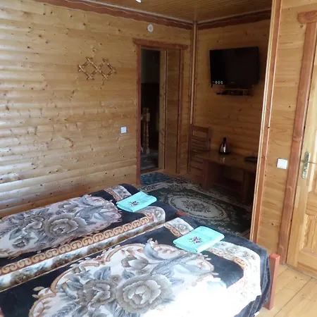 Guest house Lastivchyne Gnizdo *