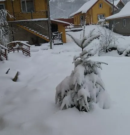 Lastivchyne Gnizdo Guest house Mykulychyn