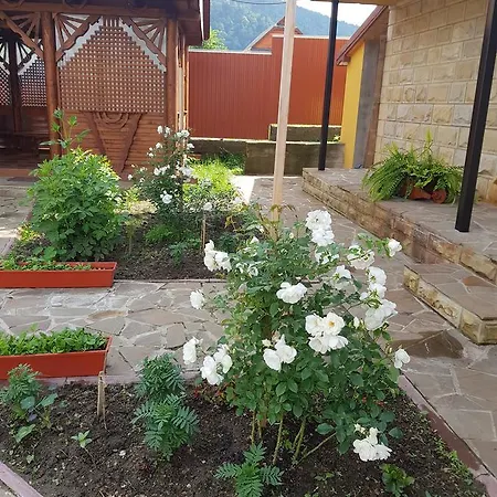 Guest house Lastivchyne Gnizdo Mykulychyn