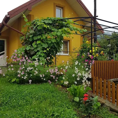 Guest house ластівчине гніздо