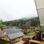 ластівчине гніздо 4*