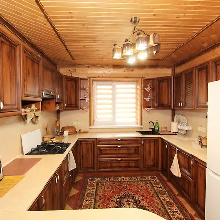 게스트하우스 ластівчине гніздо